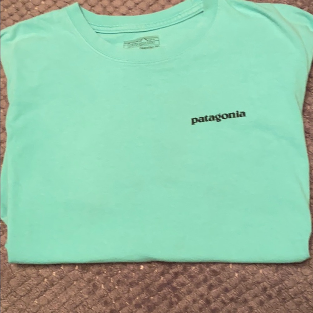 Turquoise Patagonia t-shirt